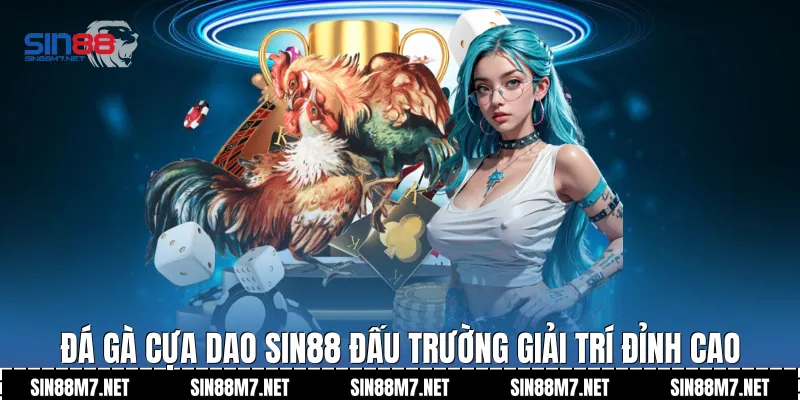 Chiến kê tranh tài tại đấu trường đá gà 