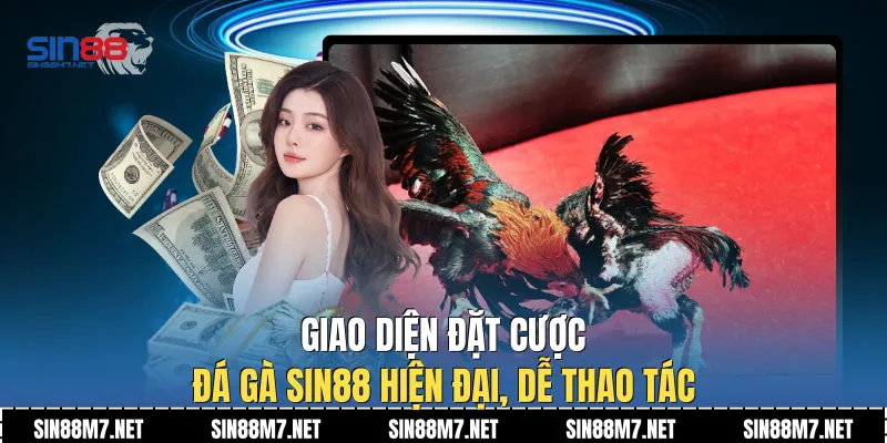 Giao diện đặt cược đá gà Sin88 hiện đại, dễ thao tác