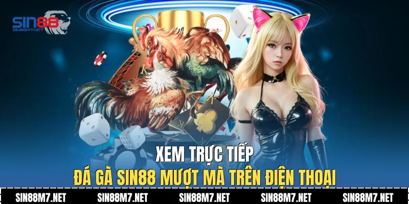 Xem trực tiếp đá gà Sin88 mượt mà trên điện thoại